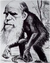 Газетная карикатура на Дарвина