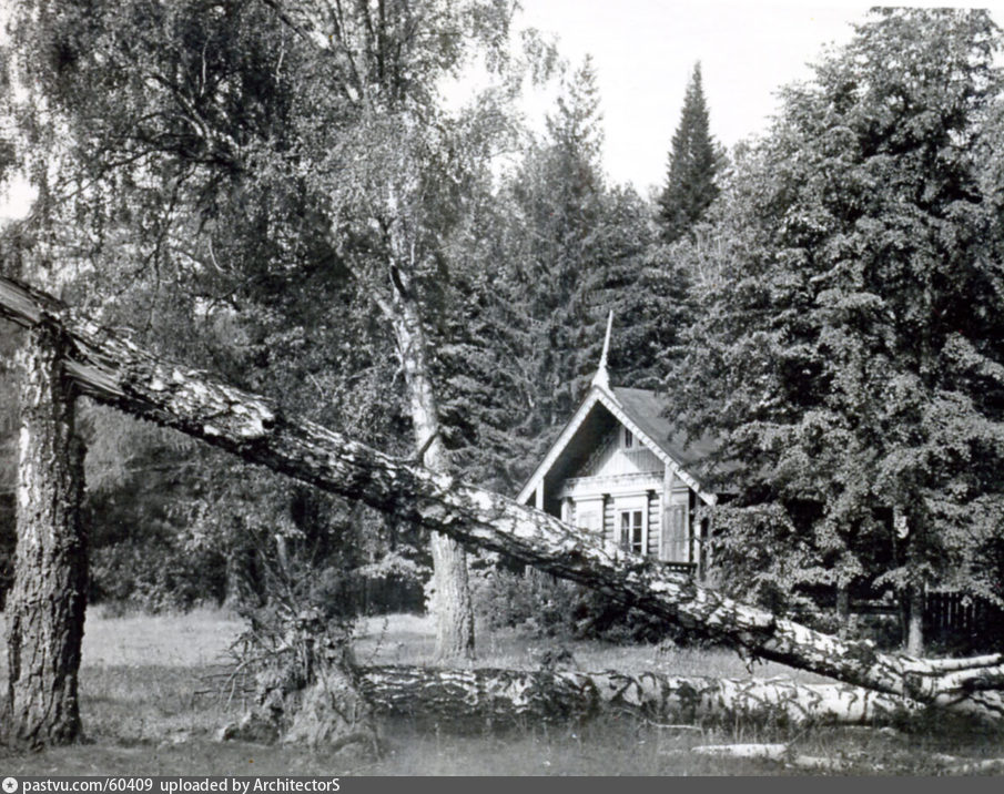 Последствия урагана 1904 г. в Москве
